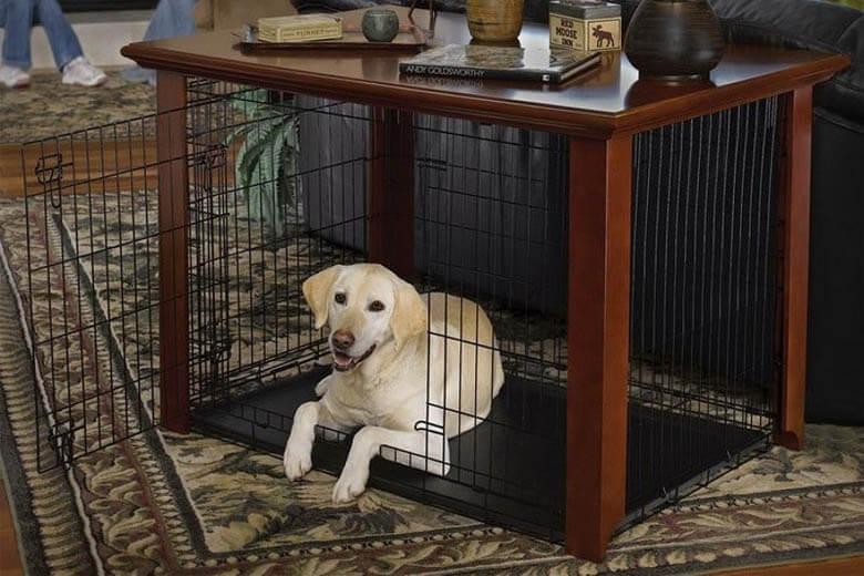BEST WIRED DOG AND PUPPY CRATES