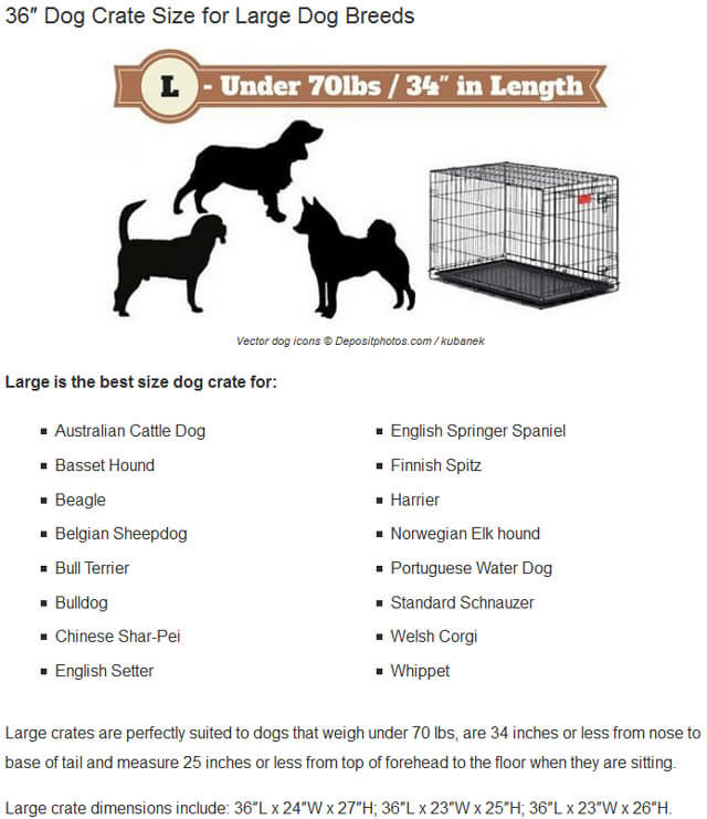 THESE MEASURE CHARTS (c) by LABRADORTRAININGHQ.COM !!!
