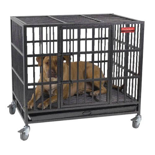 DOG & PUPPY CRATE TRAINING & TRAVEL, LARGE DOGS