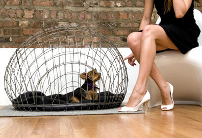 BEST DOG & PUPPY CRATE BUYING GUIDE & INSTRUCTIONS