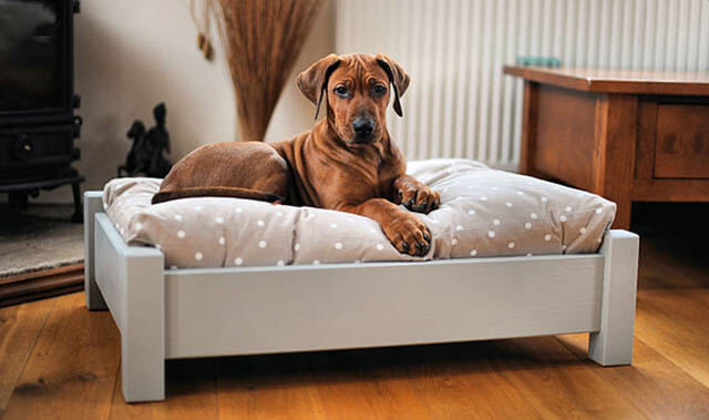 BUY ONLINE BEST, COMPHATIBLE, CUSTOM, MODERN LUXURY DOG & PUPPY BEDS and COUCHES, FOR LARGE & SMALL DOG BREEDS