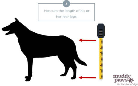 HOW TO FIT DOG AND PUPPY BED - DOG BED MEASURE & SIZE GUIDE