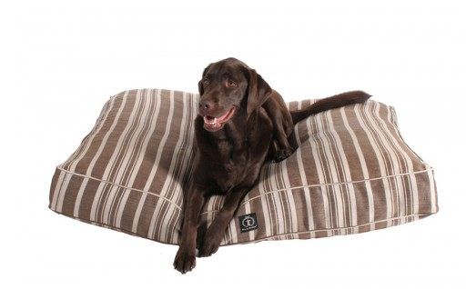 BUY THIS BEST DOG BED  COUCH  SOFA ONLINE