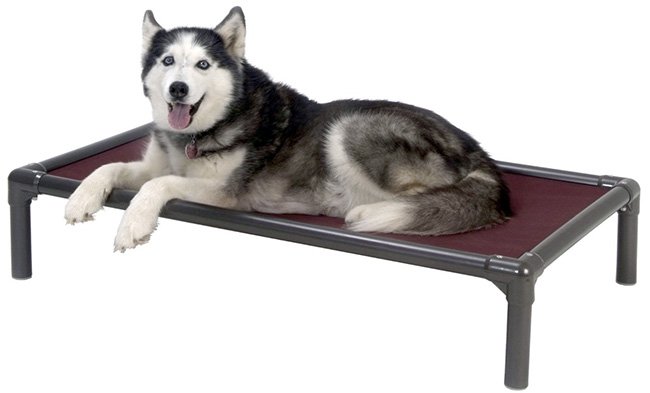 TRAVEL & OUTDOOR DOG BEDS