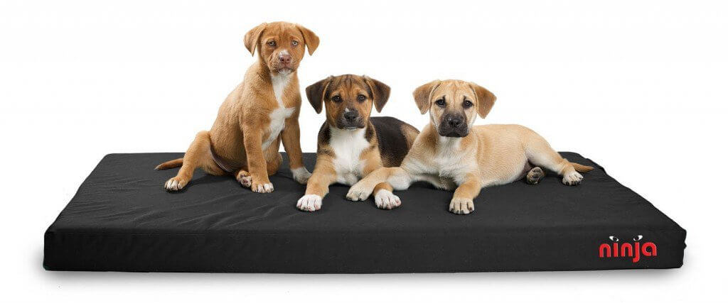 BUY THIS BEST DOG BED COUCH SOFA ONLINE