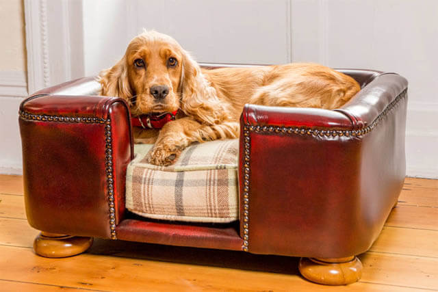 DOG AND PUPPY BEDS - FOR SMALL, MEDIUM AND LARGE DOG BREEDS