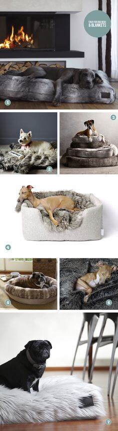 INDESTRUCTABLE DOG & PUPPY BEDS COUCHES AND SOFAS