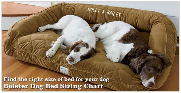 HOW TO FIT DOG AND PUPPY BED - DOG BED MEASURE & SIZE GUIDE
