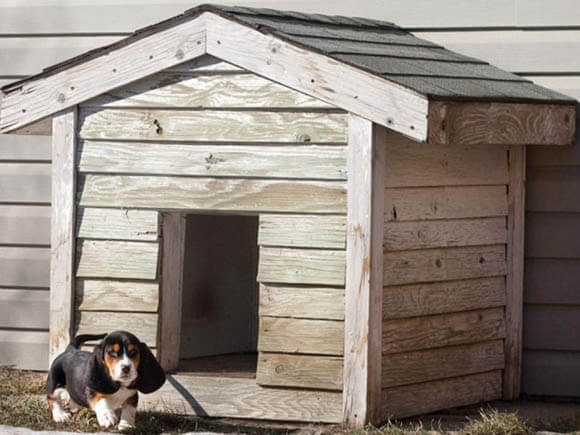 Classic Design - CREATIVE DESIGNER DOG & PUPPY HOUSES, KENNELS