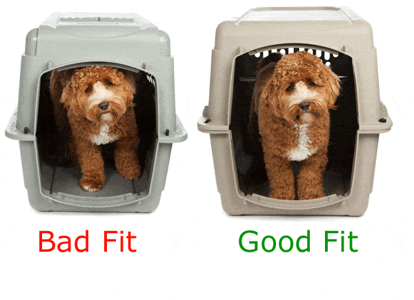 DOG AND PUPPY CRATE FIT SIZE GUIDE INSTRUCTIONS MANUAL