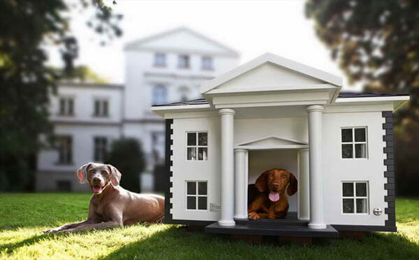 LUXURY FASION COMFORTABLE DESIGNER DOG & PUPPY HOUSES, KENNELS