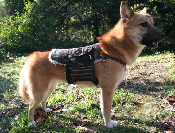 DOG & PUPPY BACKPACK SIZE, FIT and MEASURE GUIDE