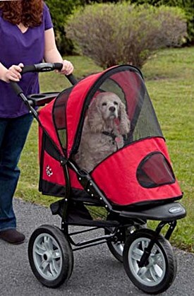 HOW TO CHOOSE THE BEST DOG STROLLER, CARRIERS, BASKETS, AIRPLANE TRAVEL WITH DOG