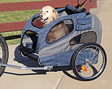 DOG & PUPPY CARRIERS SPECIFICATIONS, FEATURES, COMPARISON