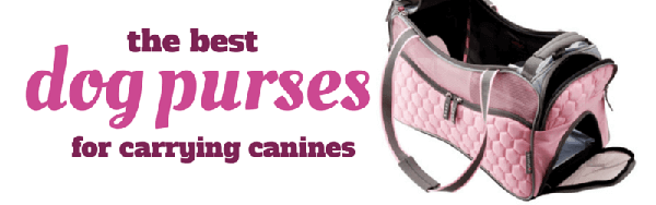 BEST DOG & PUPPY CARRIER PURSES - BUY ONLINE, COMPARISON, REVIEWS