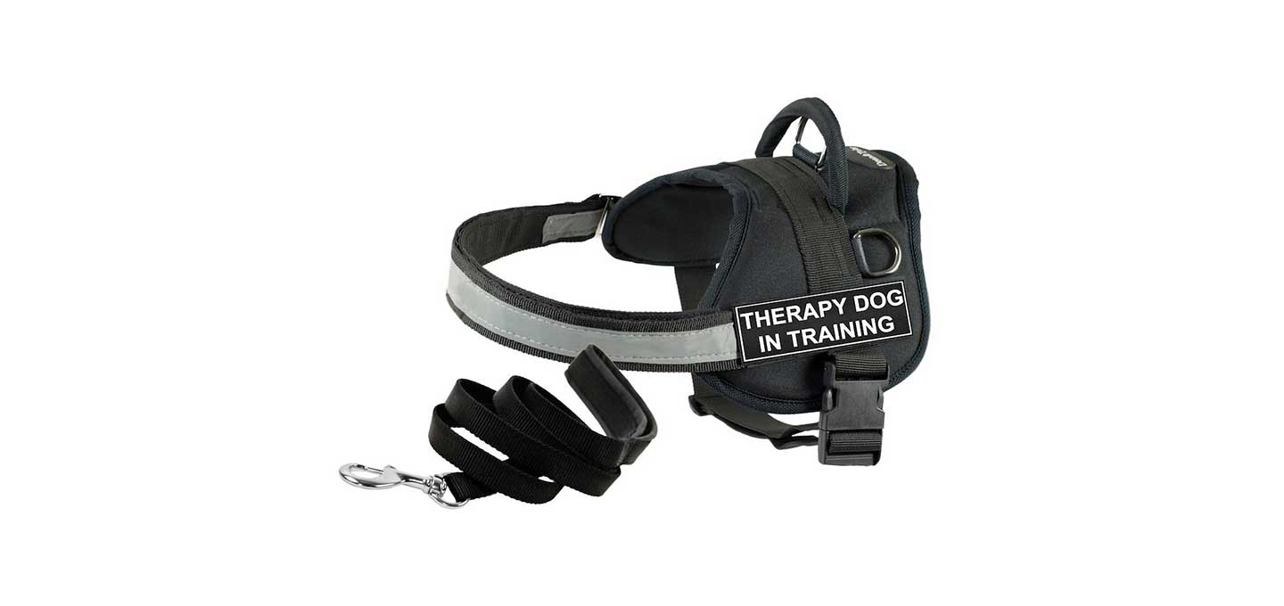 BEST DOG HARNESSES REVIEWS, DECISIONS, INFORMATION, TIPS, DOG MUZZLE, DOG CONTROL - BUY THIS HARNESS at WWW.AMAZON.COM