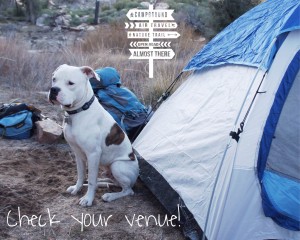 CAMPING WITH YOUR DOG TIPS, GUIDE
