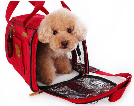 SMALL DOG & PUPPY CARRIER SIZE, DOG BAG