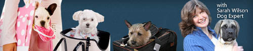 WWW.DOGCARRIERS-INFO.COM