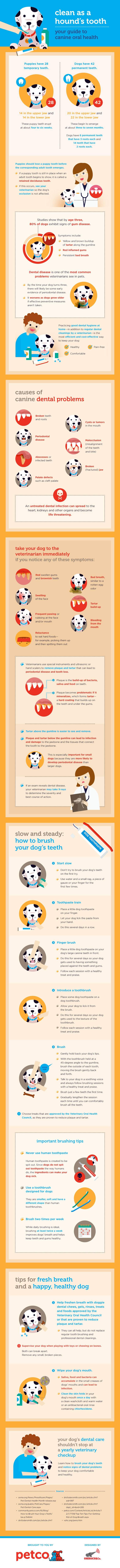 dog and puppy infograms, infographics