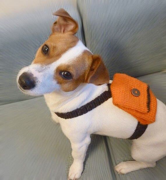 DIFFERENT BACKPACKS FOR DIFFERENT DOGS