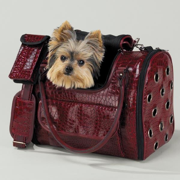 TEACH DOG & PUPPY TO ENJOY CARRIERS, OUTDOOR SADDLE BAGS, DOG CARRYING HARNESS