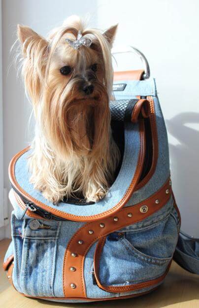 BEST DESIGNER PUPPY and DOG CARRIERS, PURSES, BACKPACKS, BAGS.. FASION DOG CARRIERS