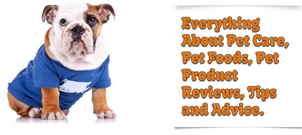 WWW.PETCARESUNDAY.COM