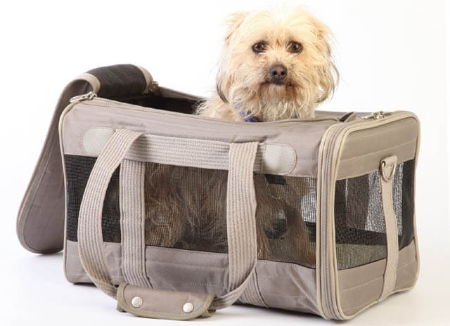 TEACH DOG & PUPPY TO ENJOY CARRIERS, OUTDOOR SADDLE BAGS, DOG CARRYING HARNESS