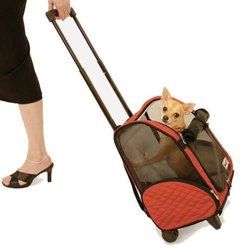 BUY THIS DOG AIRLINES APPROVED CARRIER BACKPACK at WWW.AMAZON.COM