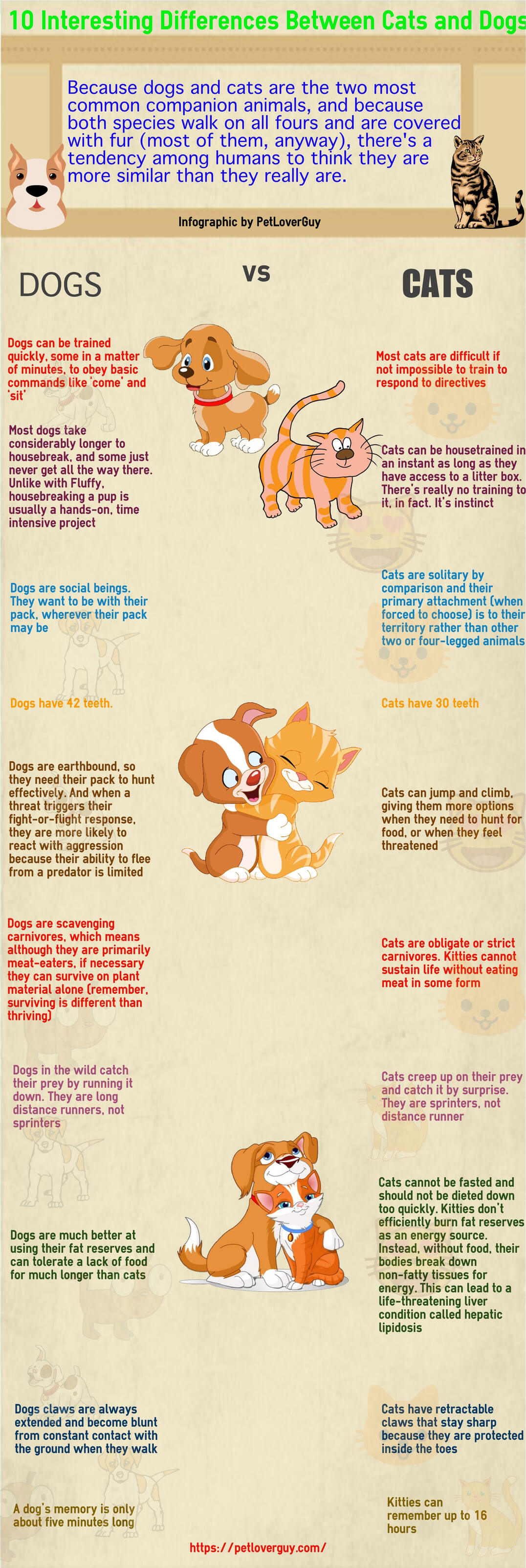 THIS INFOGRAPHICS (c) by WWW.PETLOVERGUY.COM - Press to see in FULL SIZE