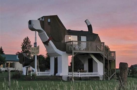 Awesome dog hot sale houses