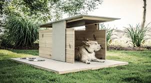 DOGHOUSE ROOF, GARDEN, FLOWERS