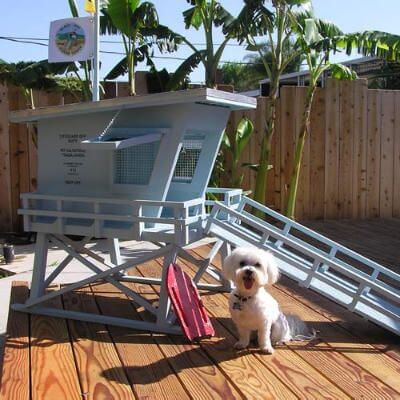 DOGHOUSE RAISED FLOOR, DOG AND PUPPY CAGE, KENNEL, IGLOO