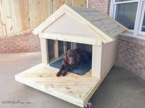 DOGHOUSE, KENNEL, IGLOO: BUYING MANUAL, TIPS, INFORMATION, GUIDE