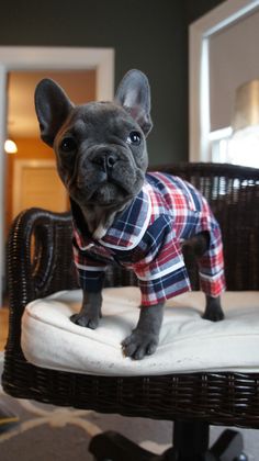 MAKE SEW COMFORTABLE WARM CUSTOM HOMEMADE DIY DOG PAJAMA, DOG & PUPPY PAJAMA FREE PATTERNS & PRINTS