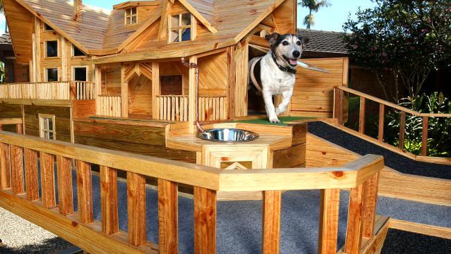 HOW TO PREPARE FOR WINTER YOUR DOGHOUSE