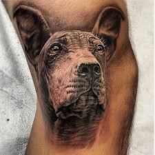 DOG TATTOO