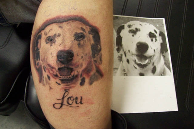 DOG TATTOO DESIGNS and IDEAS - AMAZING, STUNNING, WONDERFUL, 3D, COLORIFIC, ART, PORTRAITS, INK, PERMANENT, DOG TATTOOS FOR MAN & WOMAN