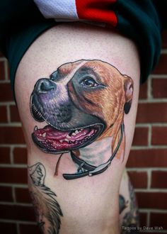 DOG TATTOO DESIGNS - AMAZING, STUNNING, WONDERFUL, 3D, COLORIFIC, ART, PORTRAITS, INK, PERMANENT, DOG TATTOOS FOR MAN & WOMAN