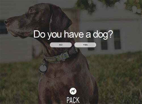 WWW.PACKDOG.COM