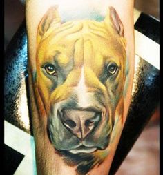 DOG TATTOO DESIGNS - AMAZING, STUNNING, WONDERFUL, 3D, COLORIFIC, ART, PORTRAITS, INK, PERMANENT, DOG TATTOOS FOR MAN & WOMAN