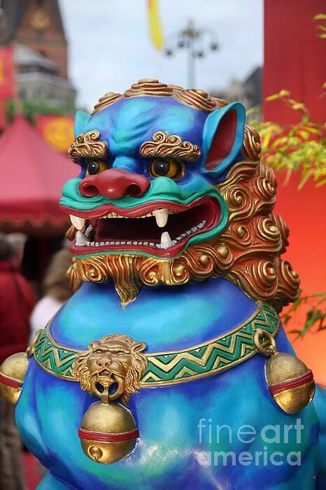 CHINESE FOO DOG BREED - HISTORY, APPEARANCE, DEFINITONS