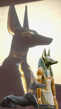 ANUBIS DOG PHOTOS IMAGES GRAPHICS DRAW ART PORTRAITS 3D