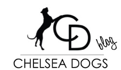 WWW.CHELSEADOGS.COM