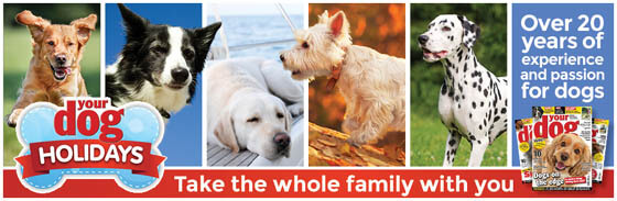 WWW.YOURDOGHOLIDAYS.CO.UK
