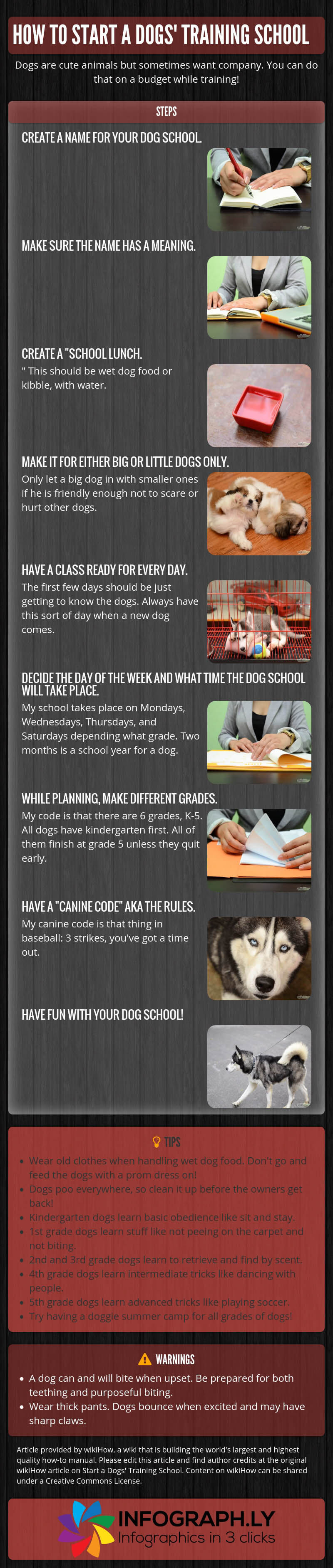 Dog Training & Teaching INFOGRAFICS - PRESS TO SEE IN FULL SIZE!