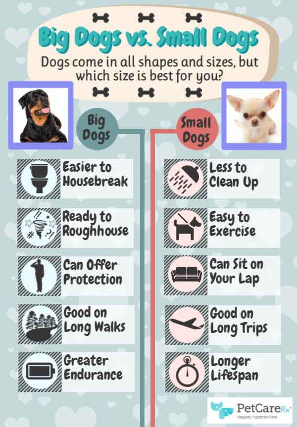 dog and puppy infograms, infographics