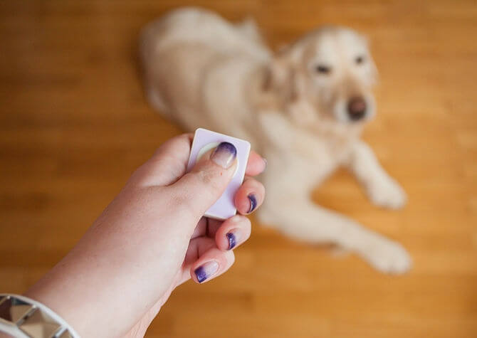 HOMEMADE DIY DOG CLICKER, HOW TO MAKE DOG TRAINING CLICKER WHISTLE GUIDE & INSTRUCTIONS