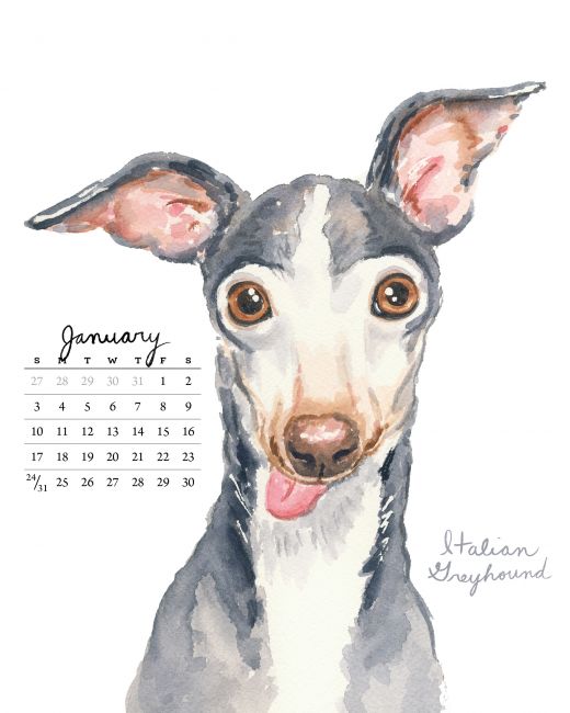 DOG and PUPPY CALENDARS 2016,2017